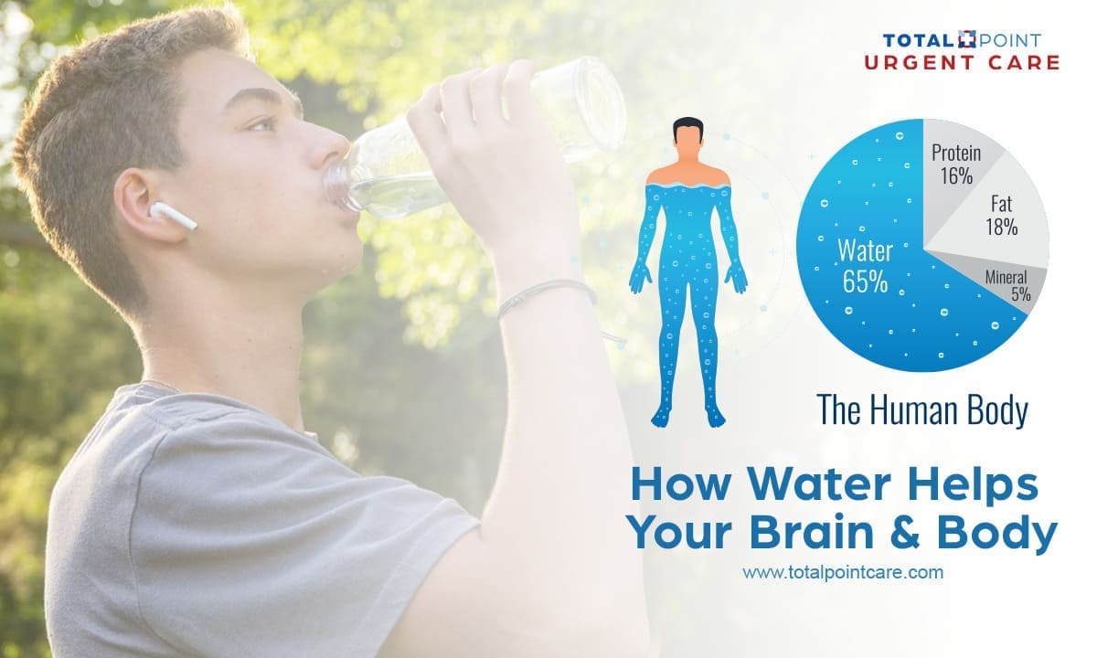 How Water Helps Your Brain & Body